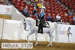 14buck_3129 proof