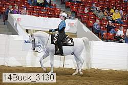 14buck_3130 proof
