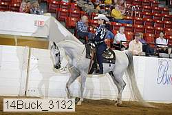14buck_3132 proof