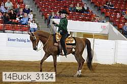14buck_3134 proof