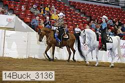 14buck_3136 proof