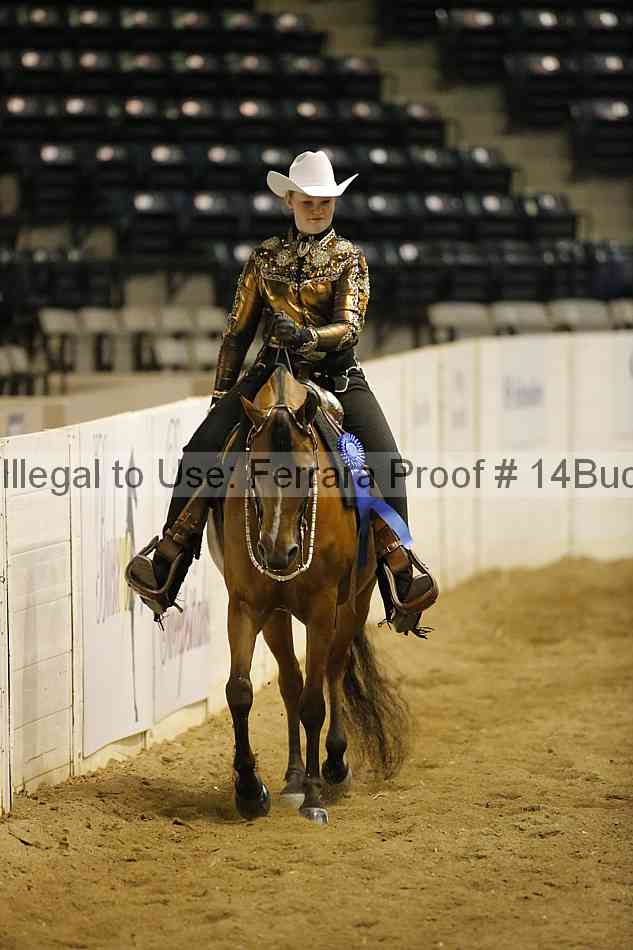 Proof 14buck_3140