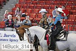 14buck_3141 proof