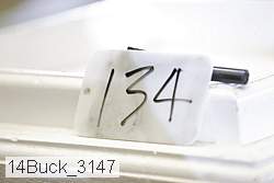 14buck_3147 proof