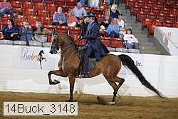 14buck_3148 proof