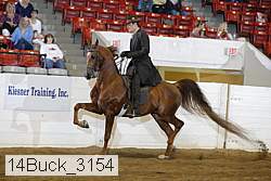 14buck_3154 proof