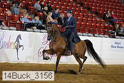 14buck_3156 proof