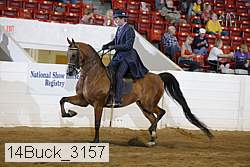 14buck_3157 proof