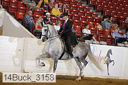14buck_3158 proof