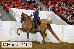 14buck_3162 proof