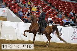 14buck_3163 proof