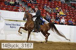 14buck_3167 proof
