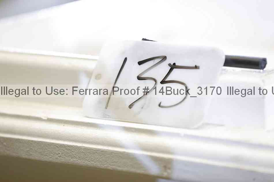 Proof 14buck_3170