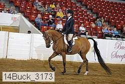 14buck_3173 proof