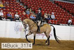 14buck_3174 proof