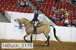 14buck_3175 proof
