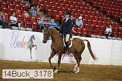 14buck_3178 proof