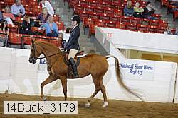 14buck_3179 proof