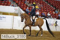 14buck_3180 proof