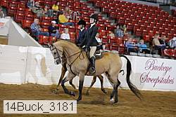 14buck_3181 proof
