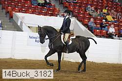 14buck_3182 proof