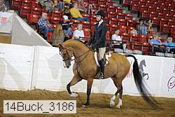 14buck_3186 proof