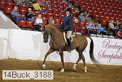 14buck_3188 proof