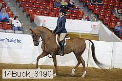 14buck_3190 proof