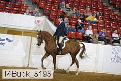 14buck_3193 proof