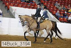 14buck_3194 proof