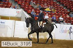 14buck_3195 proof