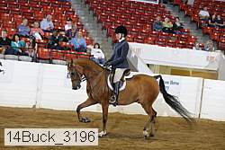 14buck_3196 proof