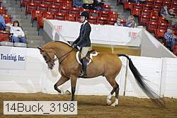 14buck_3198 proof