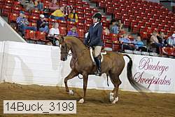 14buck_3199 proof