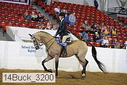 14buck_3200 proof