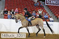 14buck_3201 proof