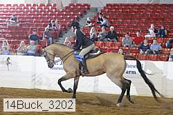 14buck_3202 proof