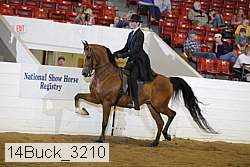 14buck_3210 proof
