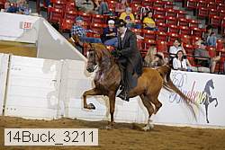 14buck_3211 proof