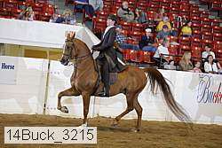 14buck_3215 proof