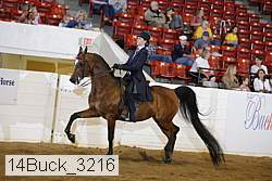 14buck_3216 proof