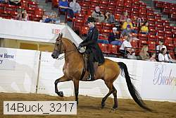 14buck_3217 proof
