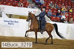 14buck_3219 proof