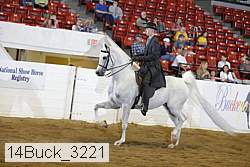 14buck_3221 proof