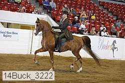 14buck_3222 proof