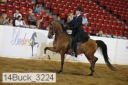 14buck_3224 proof