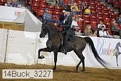 14buck_3227 proof