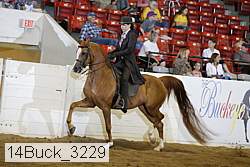14buck_3229 proof