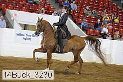 14buck_3230 proof