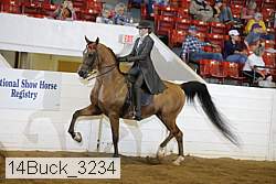 14buck_3234 proof